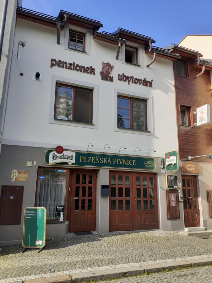 Ubytovani Nad Bisonem 赫林斯科 外观 照片