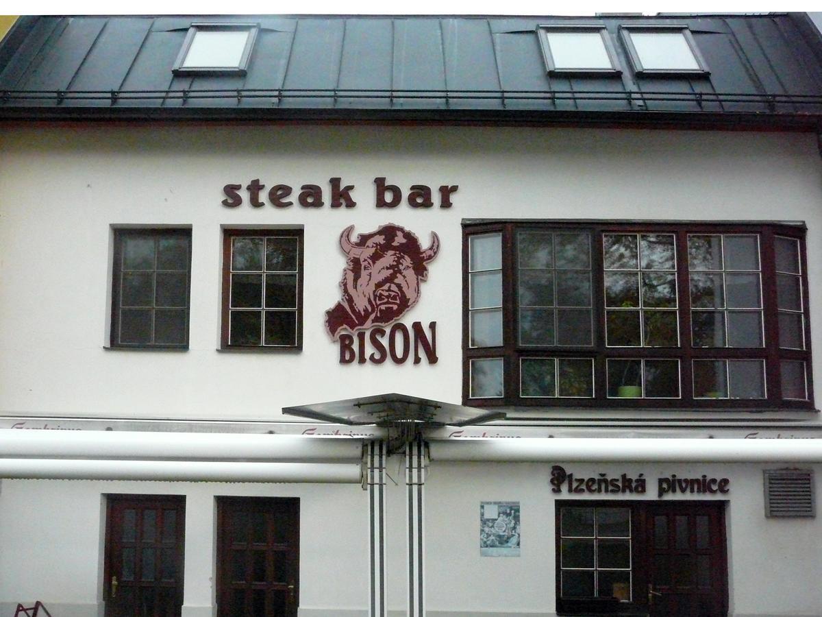 Ubytovani Nad Bisonem 赫林斯科 外观 照片